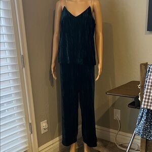 NWOT Rachel Zoe Green Velvet Top and Bottom S